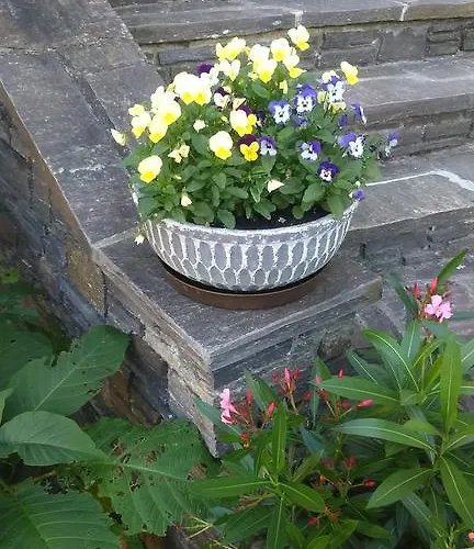 Haus Ruf Windischgarsten