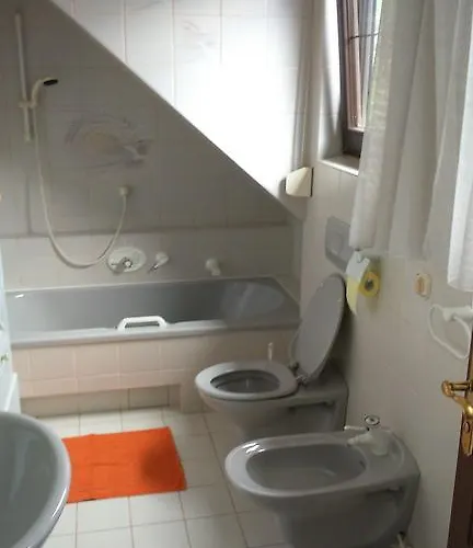 Διαμέρισμα Haus Ruf Windischgarsten