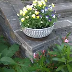 Haus Ruf Windischgarsten