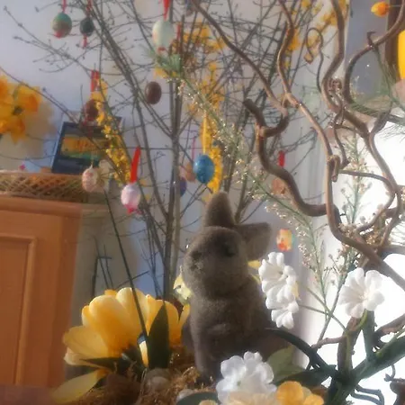 Haus Ruf Apartment *